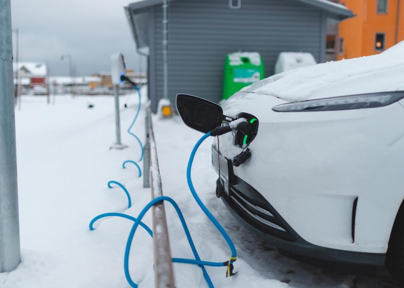 Aplinkos ministerijos nuotr. 