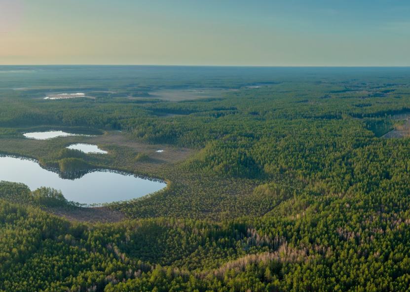 Saugomų teritorijų tarnybos nuotr. 
