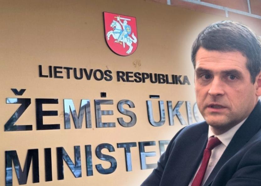 Remigijus Žemaitaitis. 