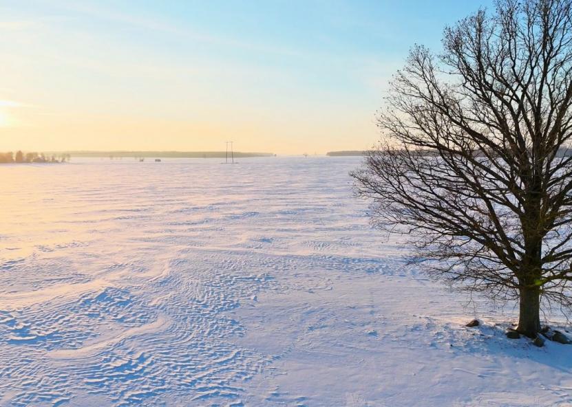Asociatyvi nuotr. Gedimino Stanišausko nuotr. 