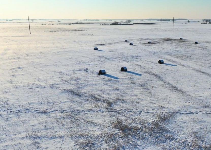 Asociatyvi nuotr. Gedimino Stanišausko nuotr. 