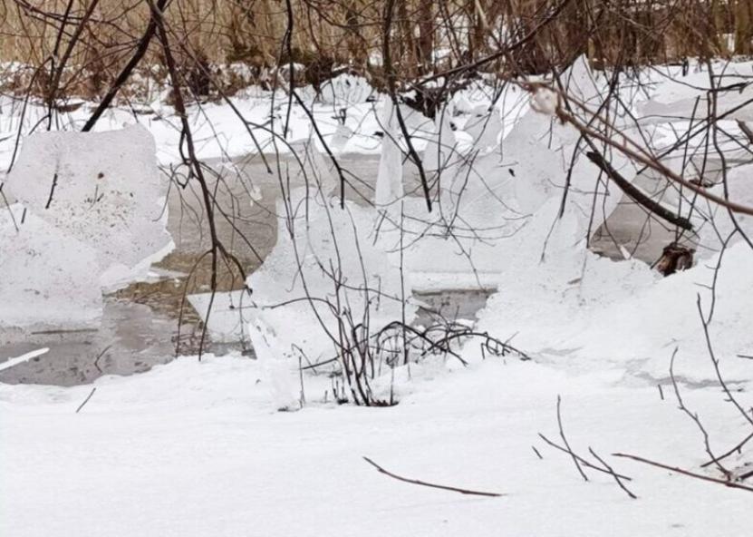 Rinkos aikštės nuotr. 