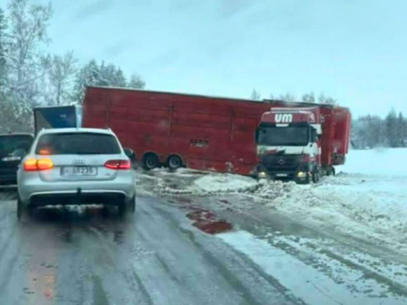 Asociatyvi nuotr. (44)