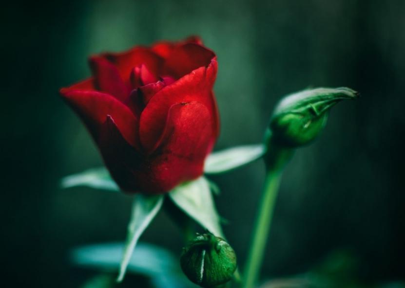 Asociatyvi nuotr. Canva nuotr. 