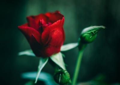 Asociatyvi nuotr. Canva nuotr.