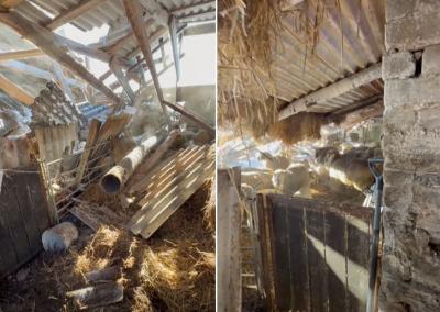 Asociatyvi nuotr. (50)