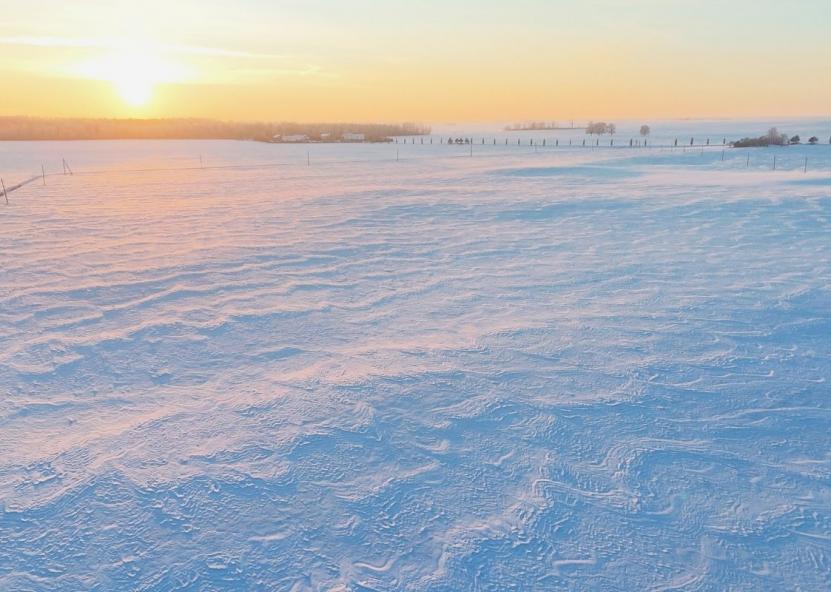 Asociatyvi nuotr. Gedimino Stanišausko nuotr. 