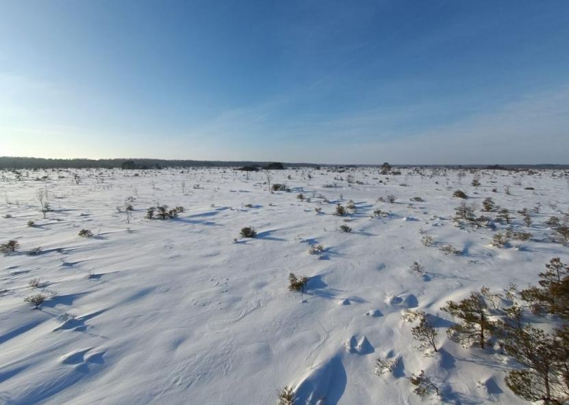 Asociatyvi nuotr. Šilutės naujienos nuotr. 