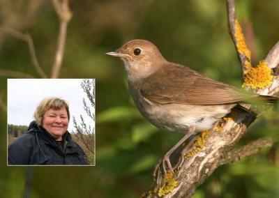 Dr. Ona Auškalnienė. Rinkos aikštė nuotr.