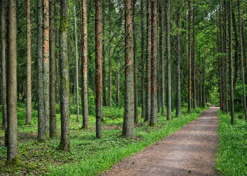 Žemės ūkio ministerijos nuotr. 