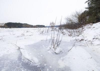 BNS/ Teodoro Biliūno nuotr.