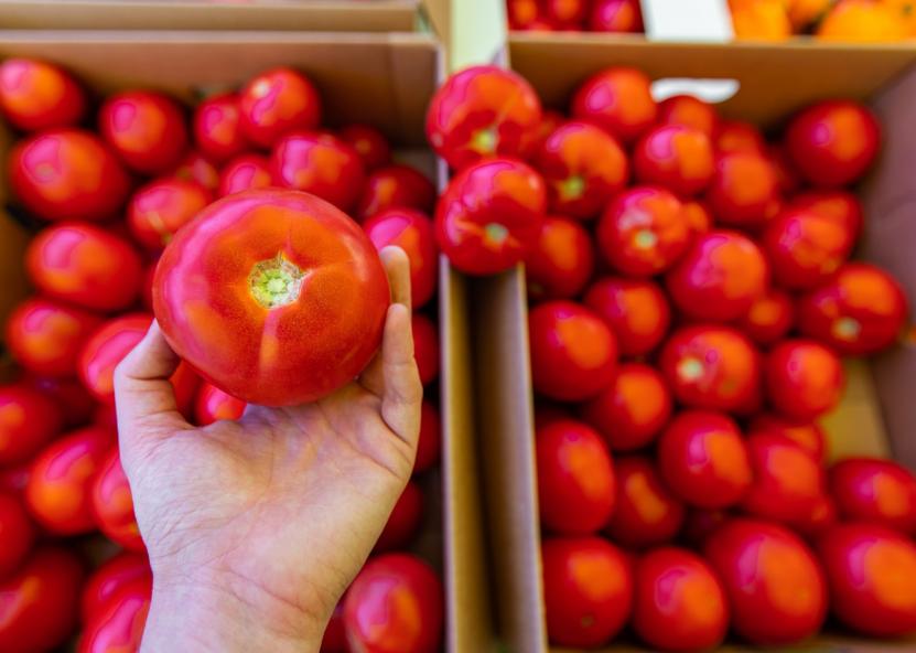 Pomidorai. VMVT nuotr 