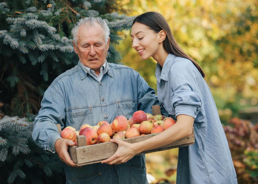 Obuoliai. ŽŨM nuotr 