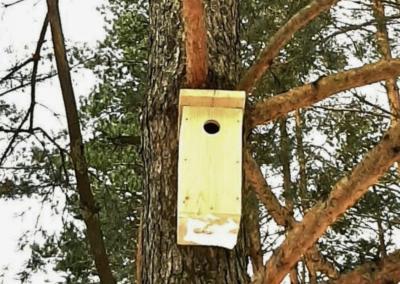 Kasmet rajono miškuose grįžtantiems paukščiams įkuriami nauji namai. Rokiškio Sirenos nuotr.