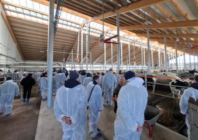 Karvių fermos projektą UAB „Dotnuva Baltic“ įgyvendino Milaičiuose, ūkininko Žilvino Oberausko ūkyje.