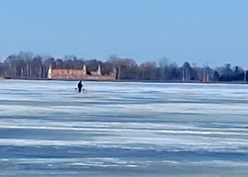 Biržiečių žodžio nuotr. 