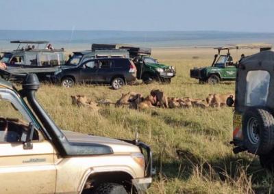 Medžioklės žurnalo nuotr.