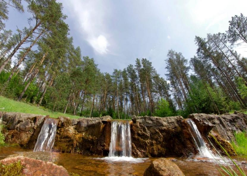 Lino verdenė. Mariaus Semaškos nuotr. 