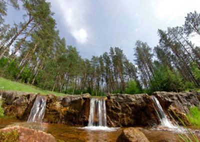 Lino verdenė. Mariaus Semaškos nuotr.