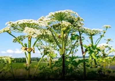 Aplinkos ministerijos nuotr.