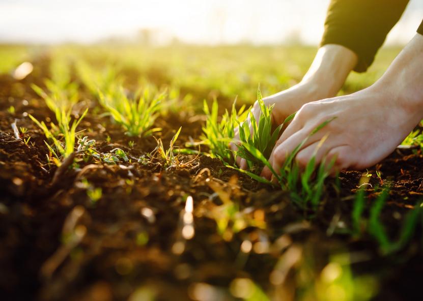 Istockphoto.com nuotr. 