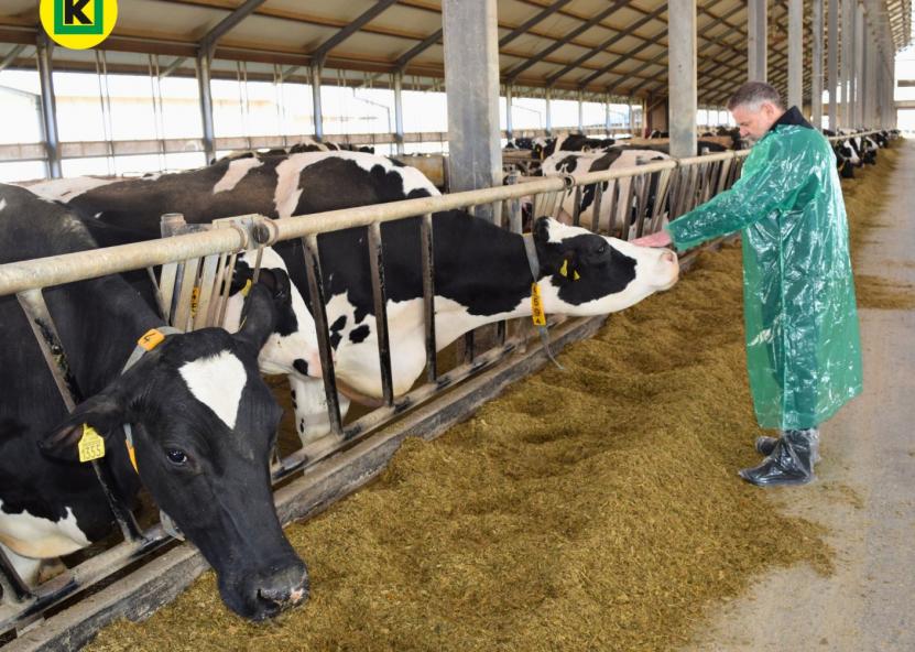 Socialinių tinklų nuotr. 