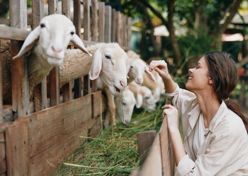 Asociatyvi nuotr. Canva nuotr. 