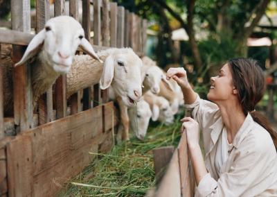 Asociatyvi nuotr. Canva nuotr.