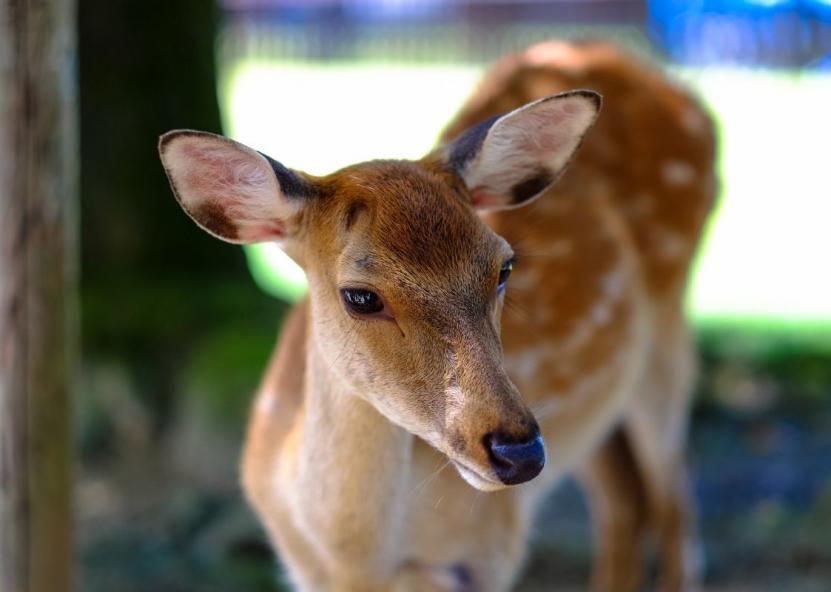 Asociatyvi nuotr. Canva nuotr. 