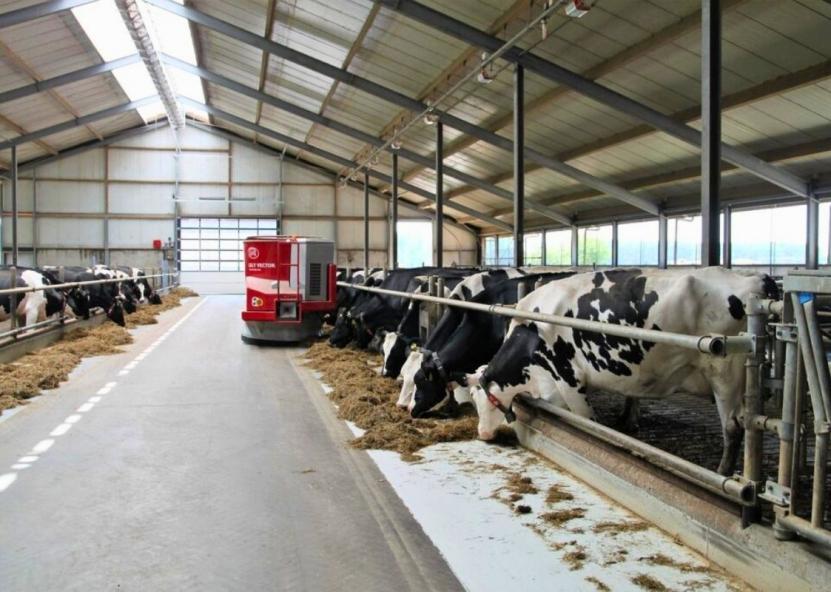 Asociatyvi nuotr. Pieno ūkis nuotr.