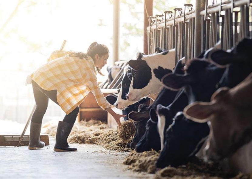 Žemės ūkio rūmų nuotr. 