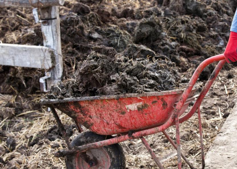 Žemės ūkio ministerijos nuotr. 