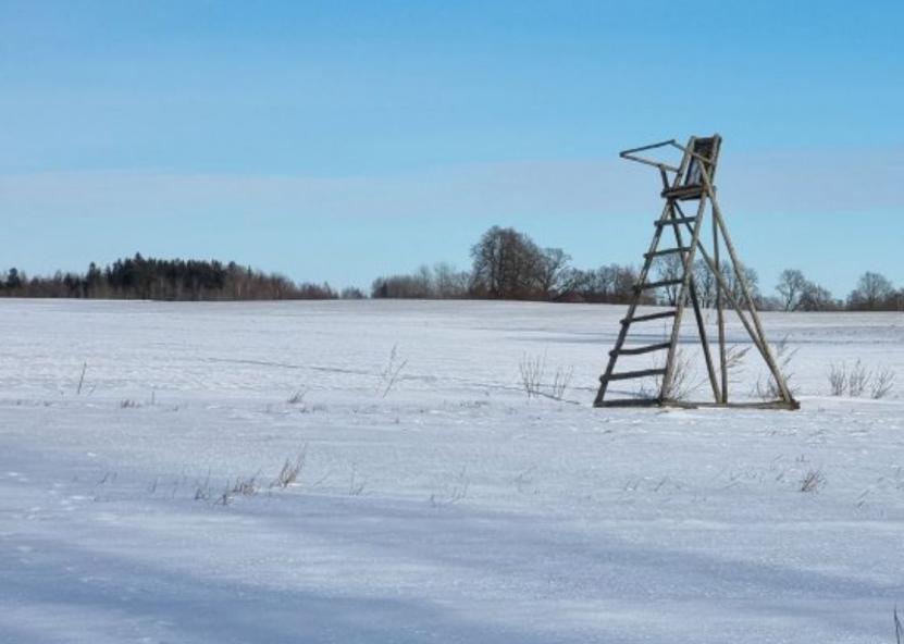 Asociatyvi nuotr. Rokiškio Sirena nuotr. 