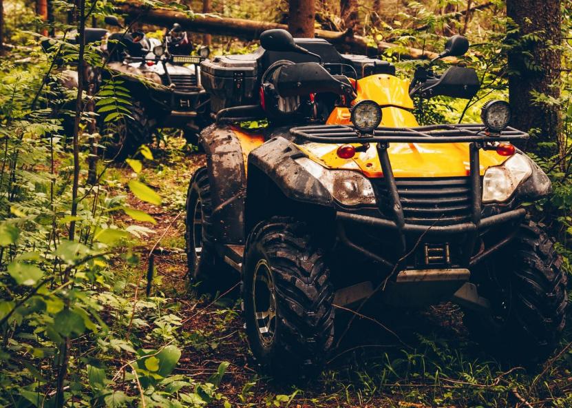 Keturračiai. AM nuotr. 