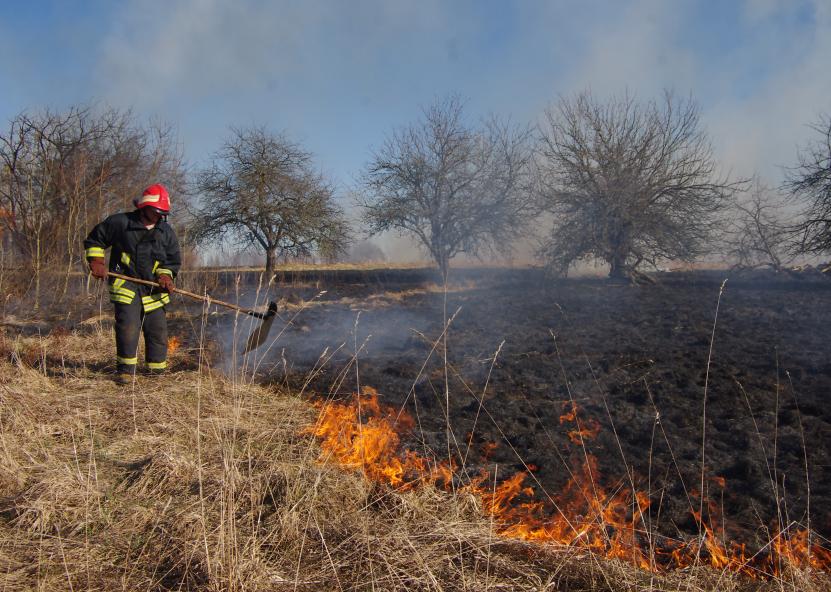 Dega pieva. Utenos diena nuotr. 