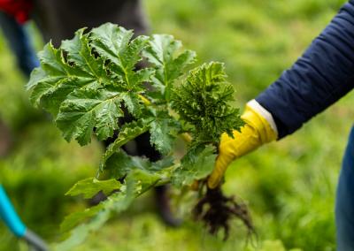 Aplinkos ministerijos nuotr.