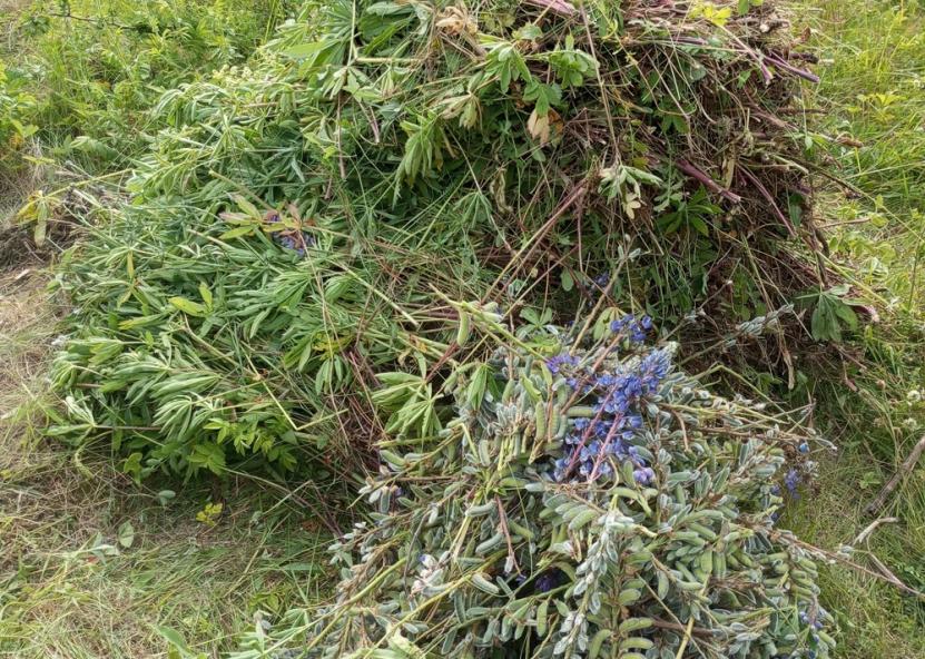 Dzūkų žinių nuotr. 