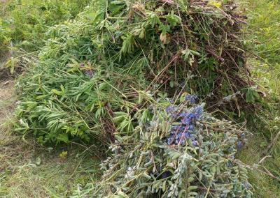 Dzūkų žinių nuotr.