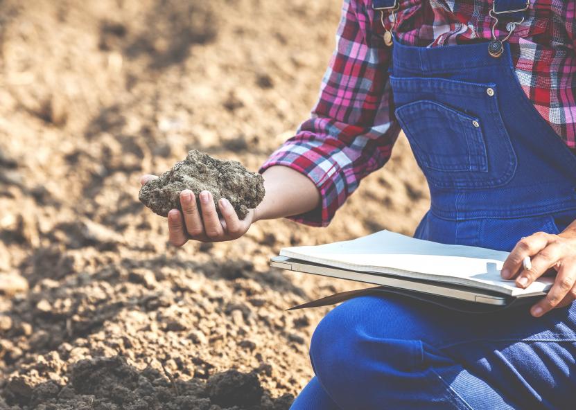 Dirvožemis. ŽŪM nuotr. 