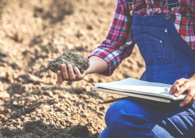 Dirvožemis. ŽŪM nuotr.