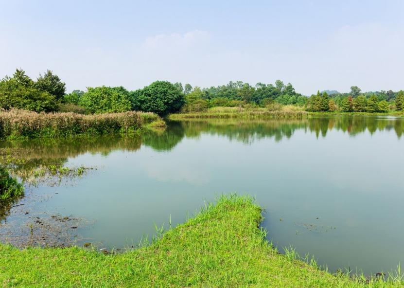 Asociatyvi nuotr. Canva nuotr. 