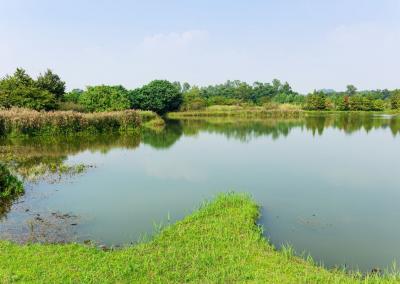 Asociatyvi nuotr. Canva nuotr.