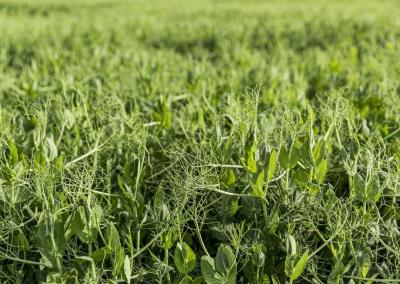 Asociatyvi nuotr. NMA nuotr.