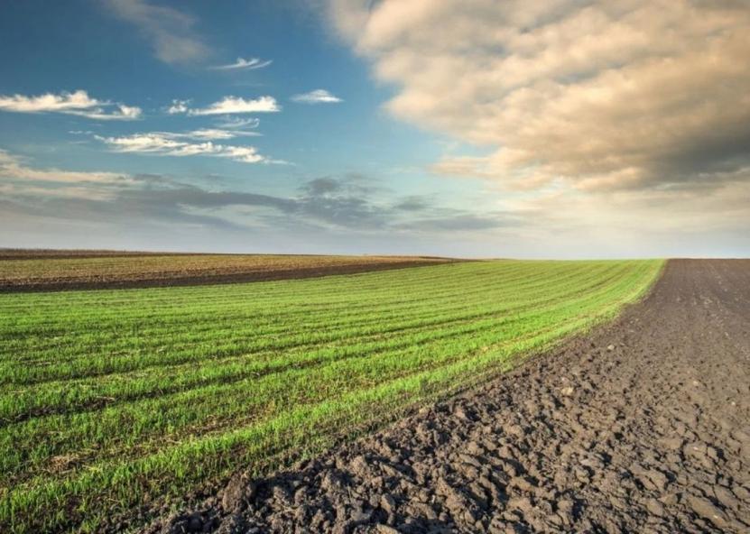 Asociatyvi nuotr. NŽT nuotr. 