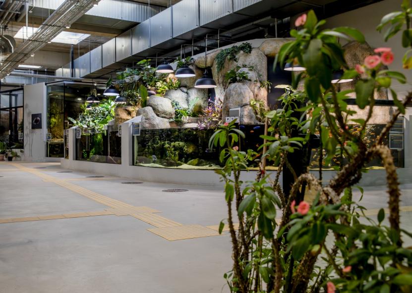 Zoologijos sodo nuotr. 