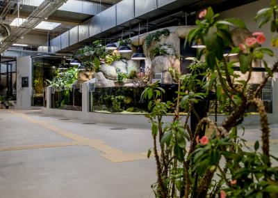 Zoologijos sodo nuotr.