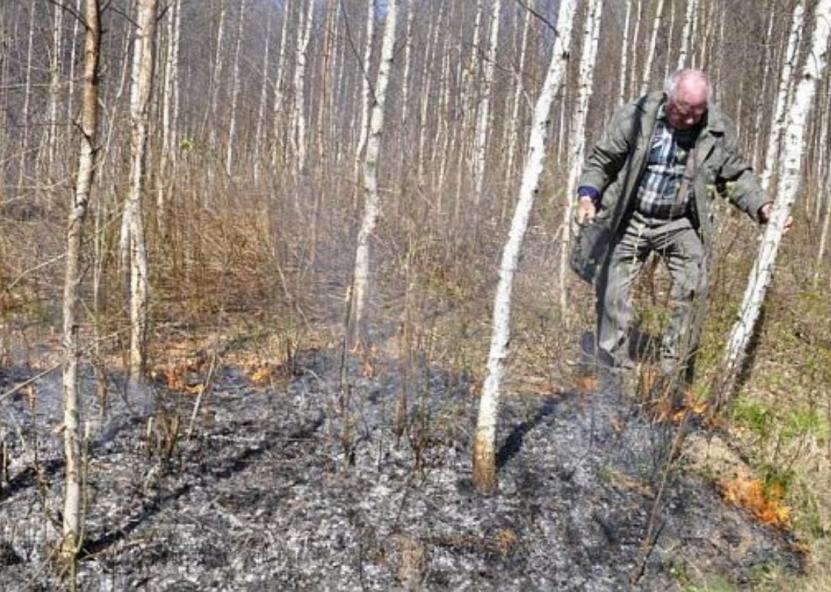 Algirdas Gaurilius pačiu laiku atvyko į savo mišką, nes ugnis būtų gerokai įsismarkavusi. Žmogus savomis išgalėmis liepsnas užgesino.