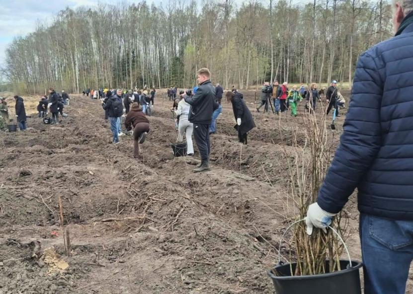 Nacionalinis miškasodis. Loretos Čipinytės Mačiulienės nuotr. 