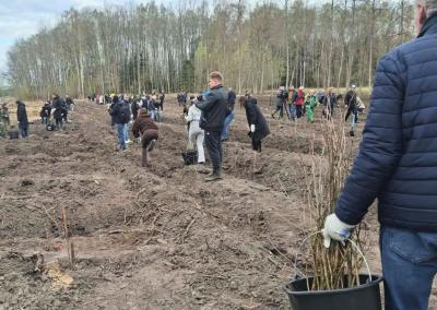 Nacionalinis miškasodis. Loretos Čipinytės Mačiulienės nuotr.