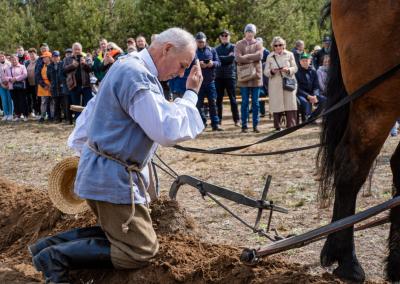 Dzūkų žinių nuotr.